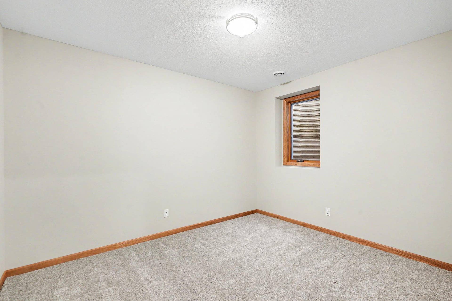11040 Dahlia Street NW, Coon Rapids, MN 55433 030_file_1474.jpg