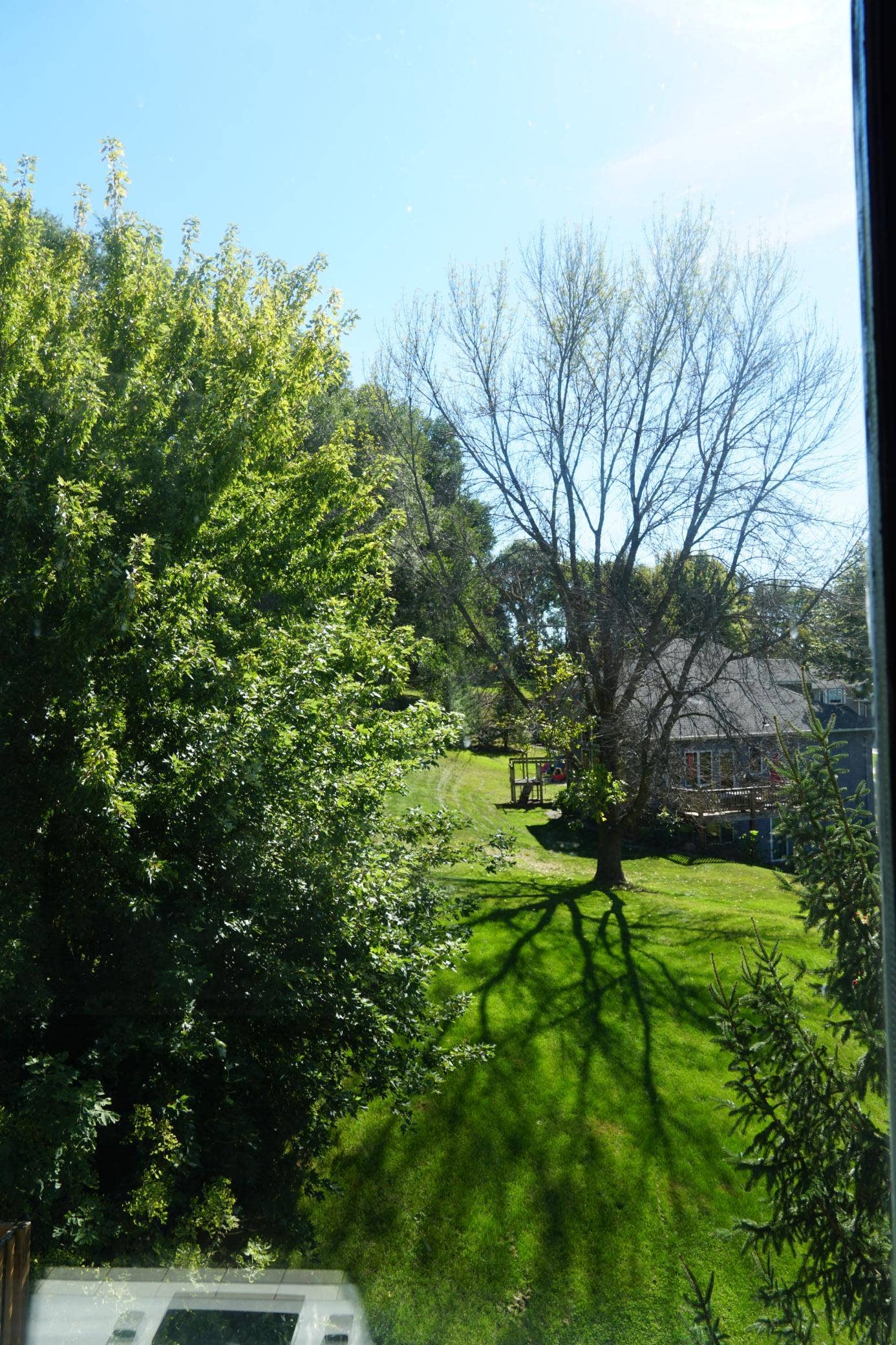 DSC00786.JPG