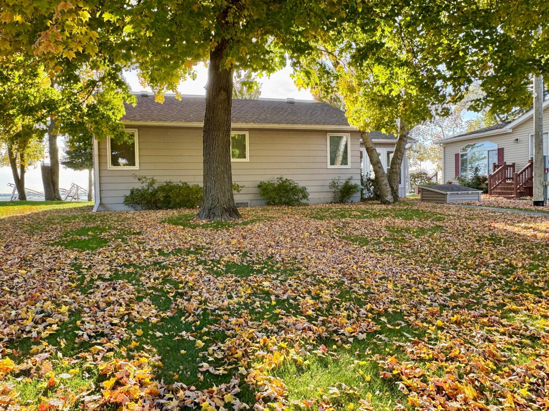 43833 Inlet Beach Road, Pelican Rapids, MN 56572 4-Beautiful mature trees.jpg