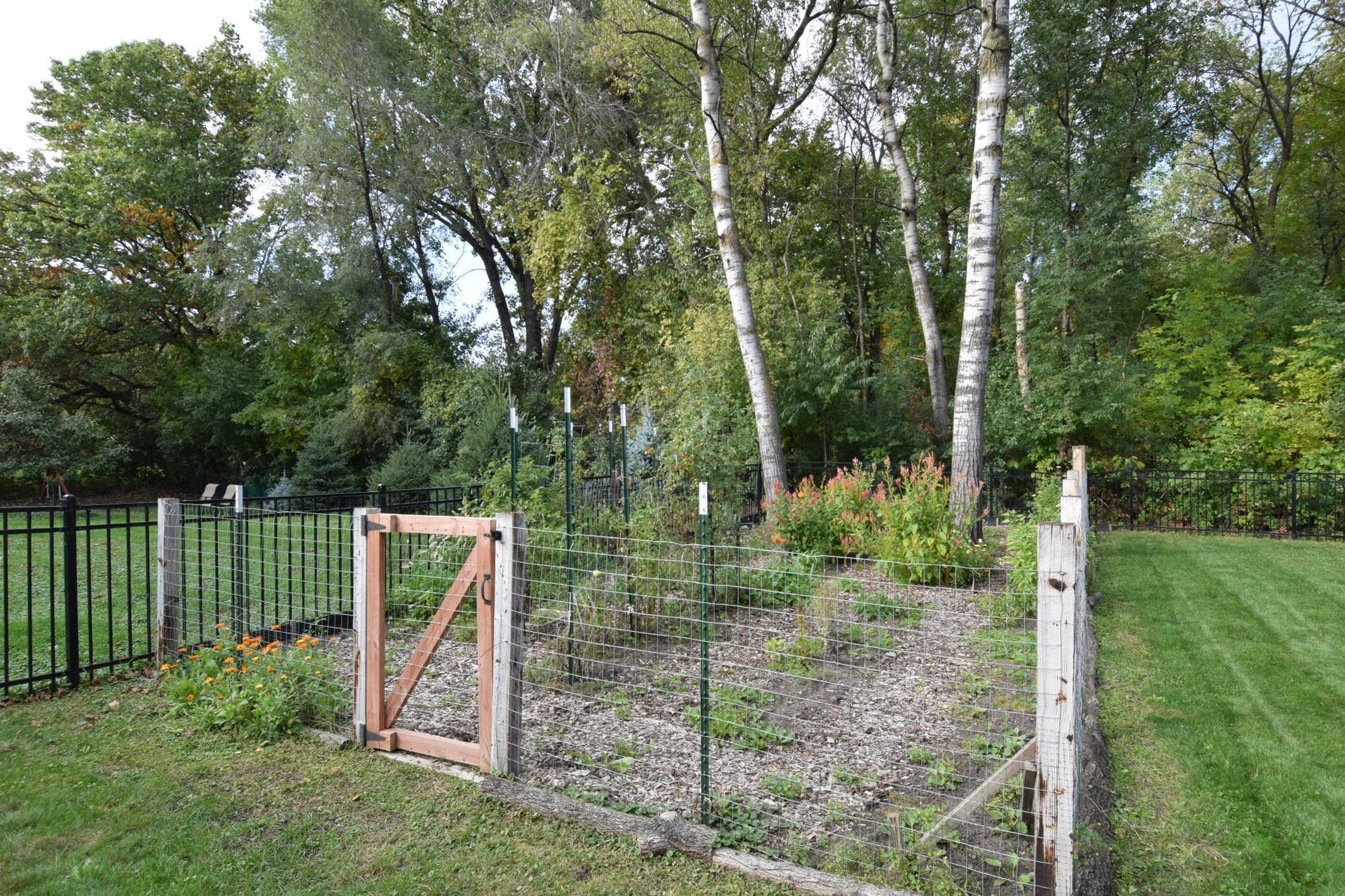 Gorgeous Garden! Add Your Favorite Flowers-Veggies-Herbs and ???