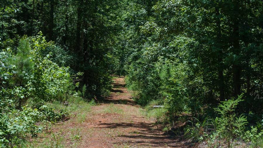 Property photo for 000 County Road 434, Lindale, TX
