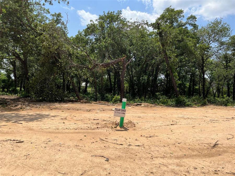 Property photo for 425 Peace Lily Way, Tolar, TX