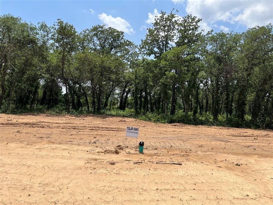 Property photo for 433 Peace Lily Way, Tolar, TX