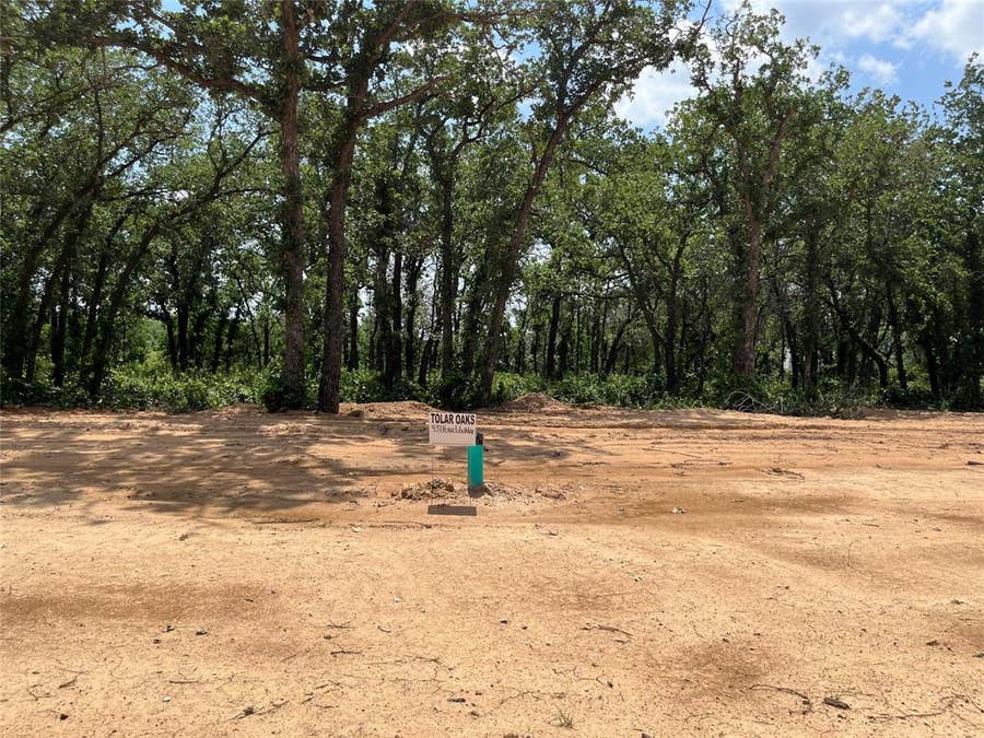 Property photo for 437 Peace Lily Way, Tolar, TX