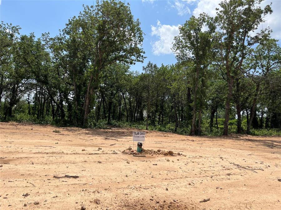 Property photo for 441 Peace Lily Way, Tolar, TX