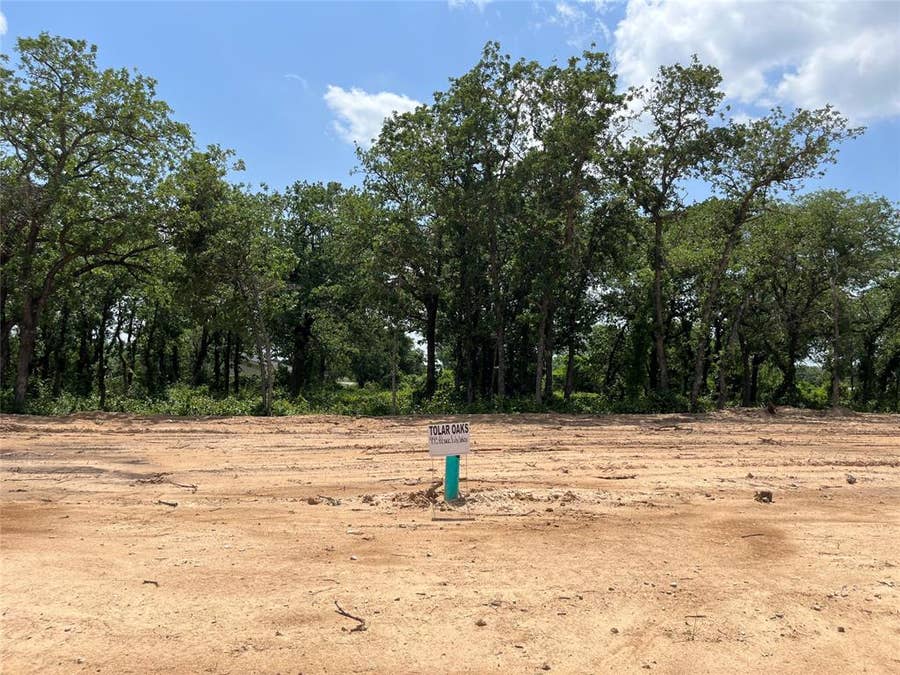 Property photo for 445 Peace Lily Way, Tolar, TX