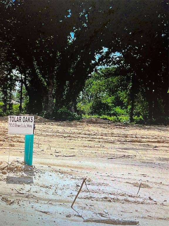 Property photo for 453 Peace Lily Way, Tolar, TX