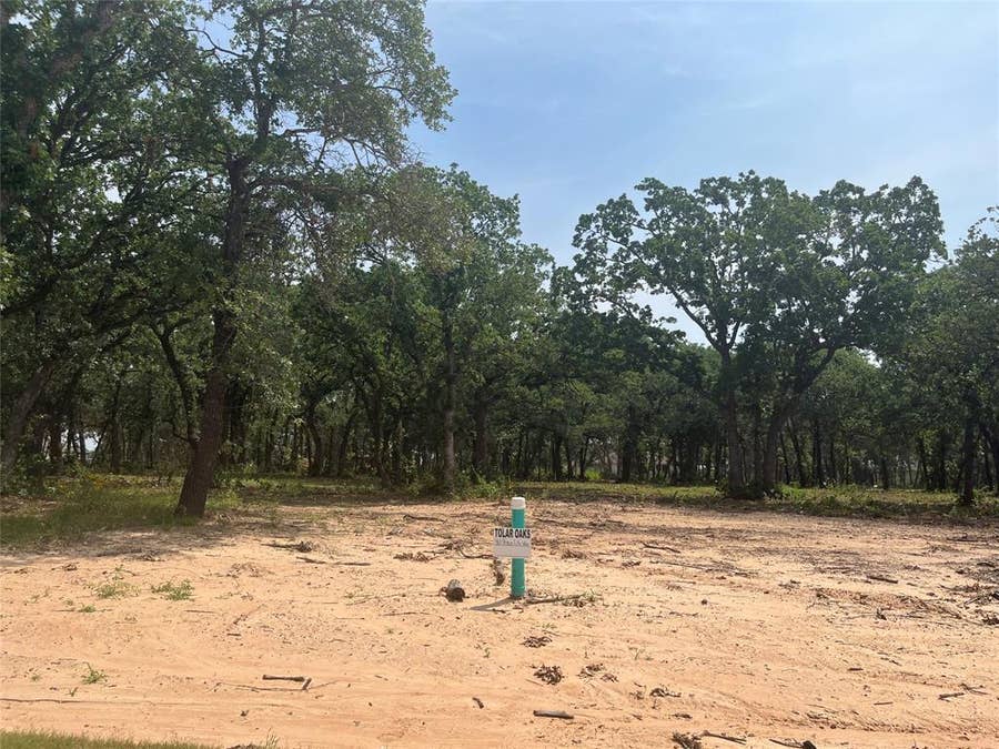 Property photo for 312 Peace Lily Way, Tolar, TX