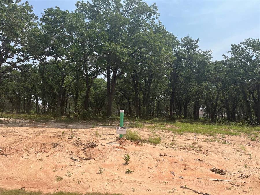 Property photo for 316 Peace Lily Way, Tolar, TX