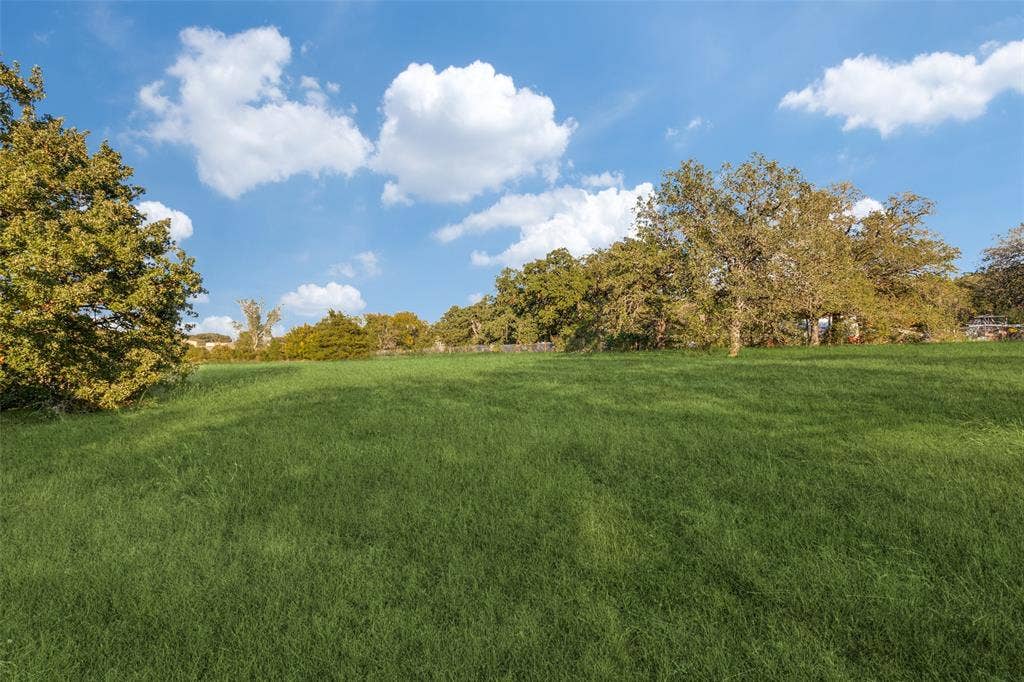1425 Swiney Hiett Road, Kennedale, TX 76060 View of yard