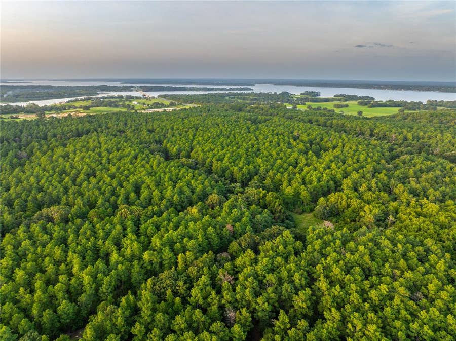 Property photo for Tract 5 Hwy 155, Frankston, TX