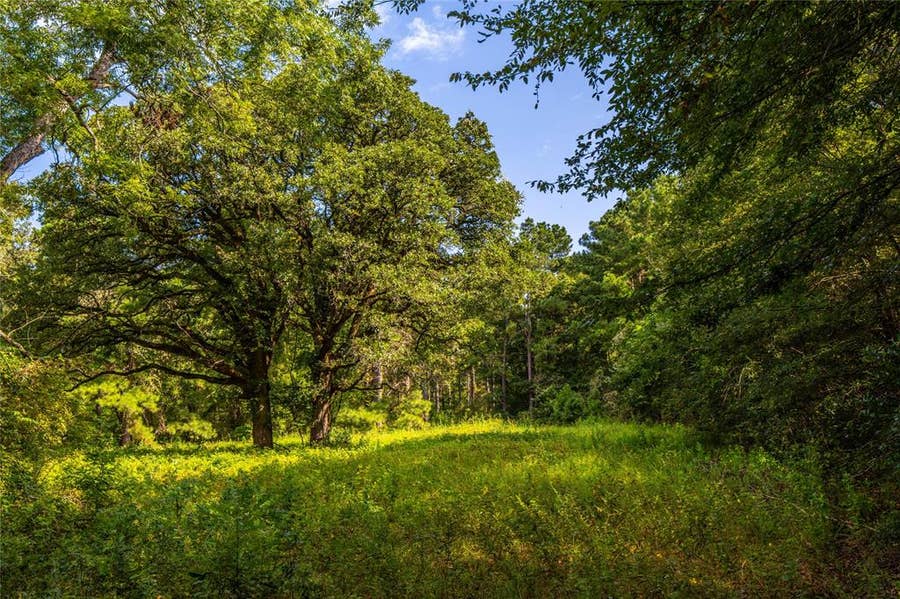Property photo for Tract 6 Hwy 155, Frankston, TX