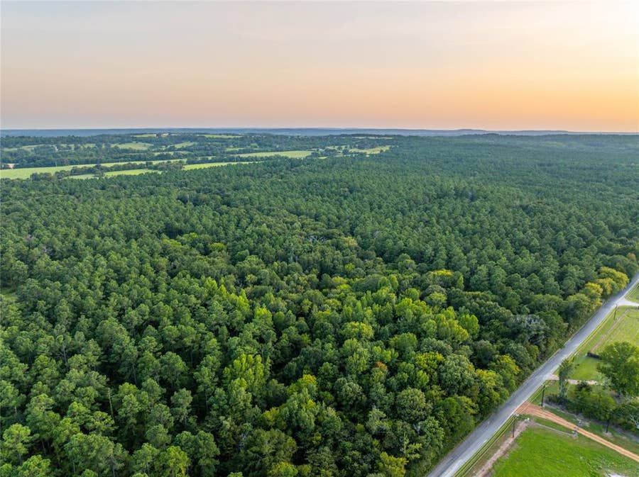 Property photo for Tract 10 County Road 4222, Frankston, TX