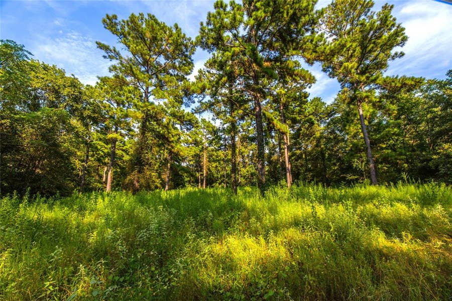 Property photo for Tract 11 County Road 4222, Frankston, TX