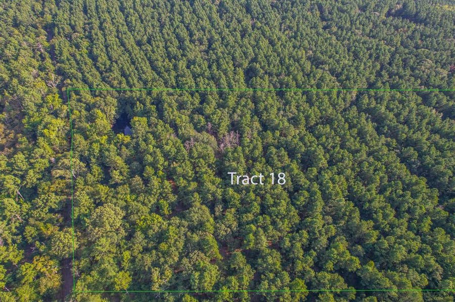 Property photo for Tract 18 County Road 4224, Frankston, TX