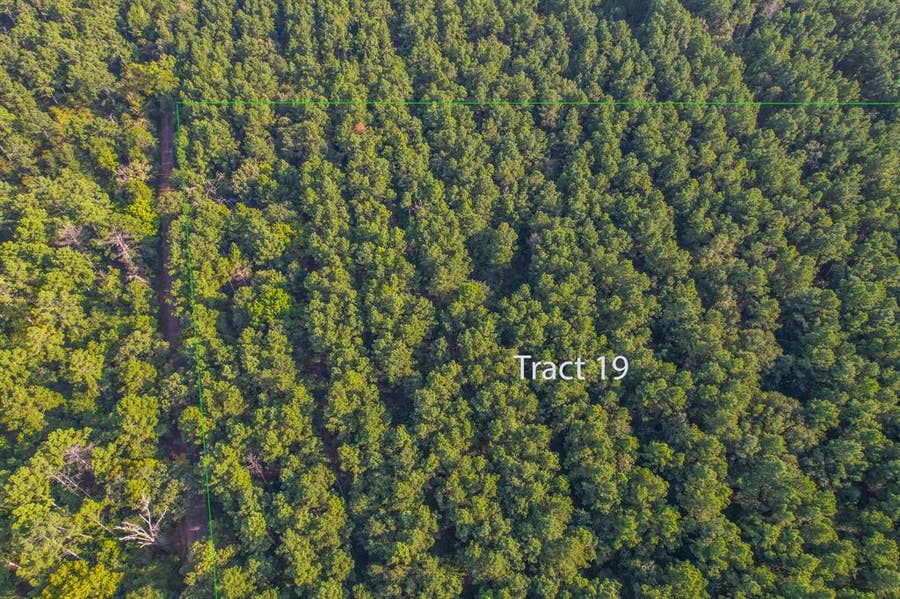 Property photo for Tract 19 County Road 4224, Frankston, TX