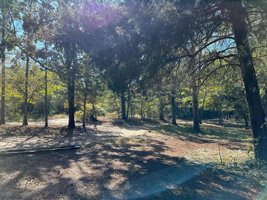 11420 County Road 420, Tyler, TX 75704 View of local wilderness
