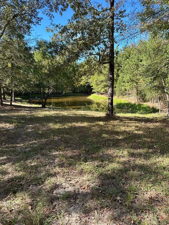 11420 County Road 420, Tyler, TX 75704 View of local wilderness featuring a water view