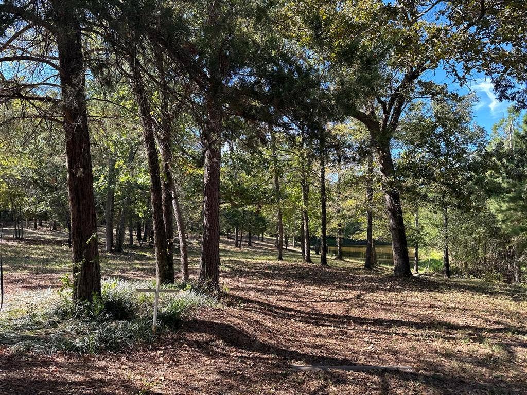 11420 County Road 420, Tyler, TX 75704 View of nature