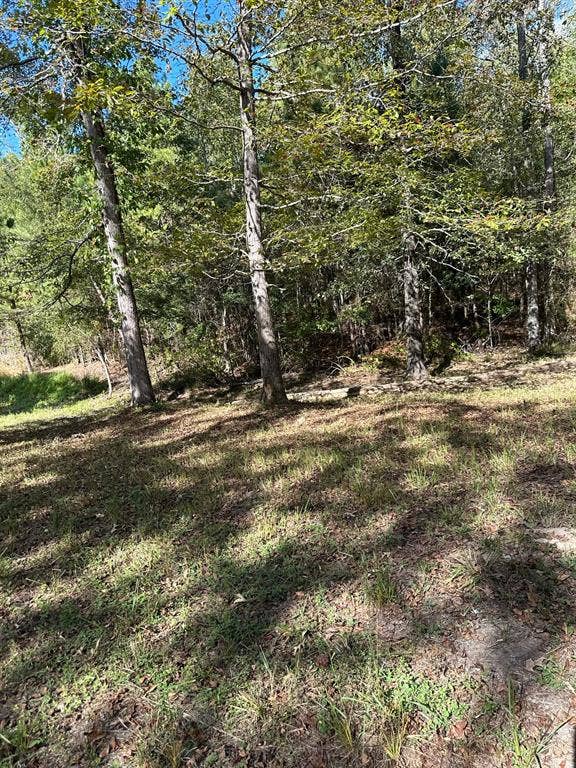 11420 County Road 420, Tyler, TX 75704 View of local wilderness