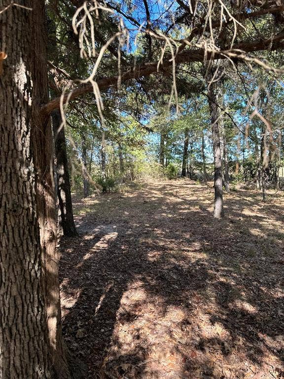 11420 County Road 420, Tyler, TX 75704 View of local wilderness