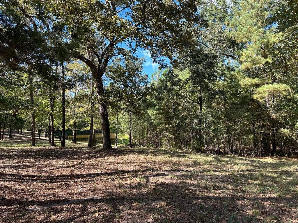 11420 County Road 420, Tyler, TX 75704 View of local wilderness