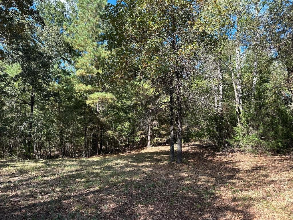 11420 County Road 420, Tyler, TX 75704 View of landscape