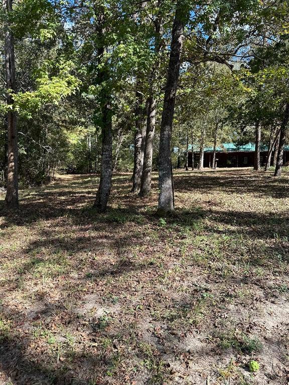 11420 County Road 420, Tyler, TX 75704 11420 County Road 420, Tyler, TX 75704