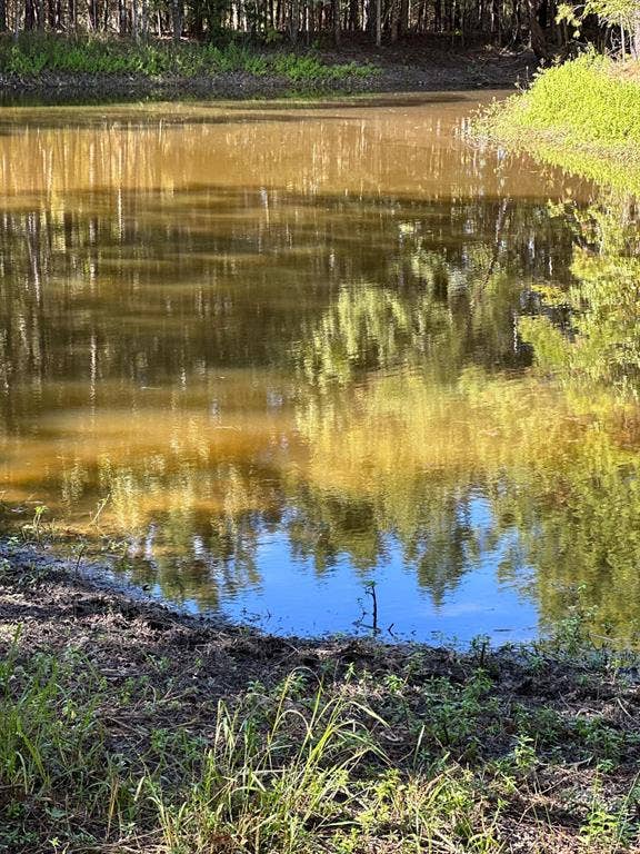 11420 County Road 420, Tyler, TX 75704 View of water feature