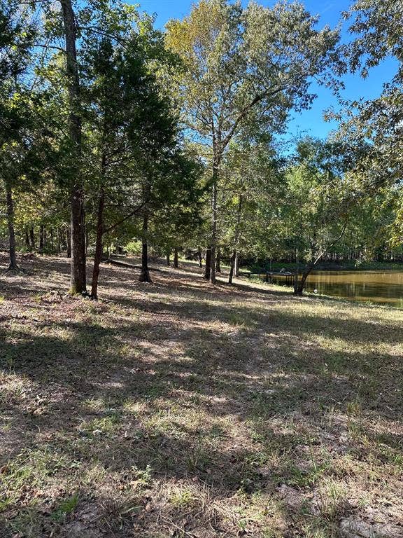 11420 County Road 420, Tyler, TX 75704 View of nature featuring a water view