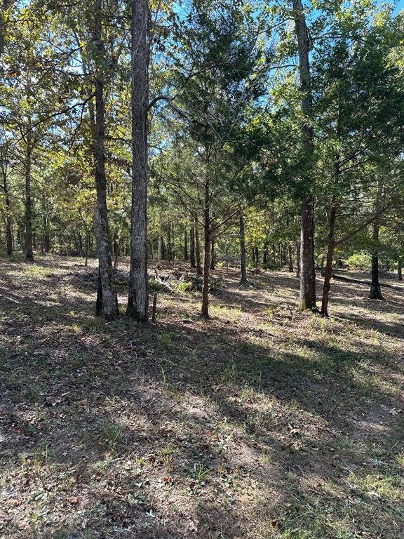 11420 County Road 420, Tyler, TX 75704 View of nature