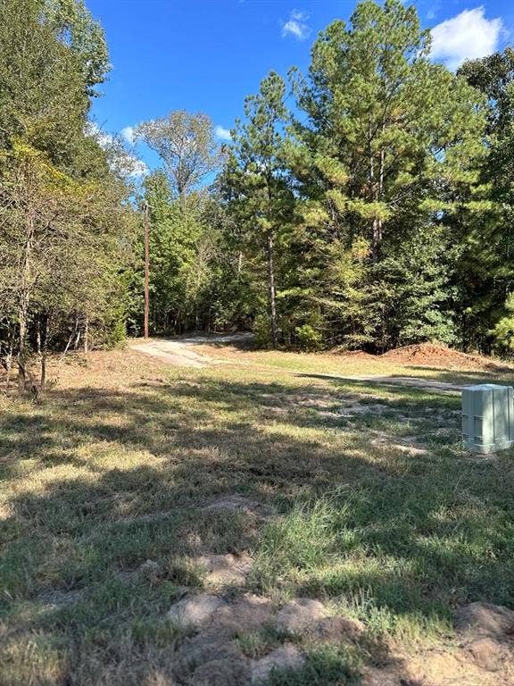 11420 County Road 420, Tyler, TX 75704 View of yard