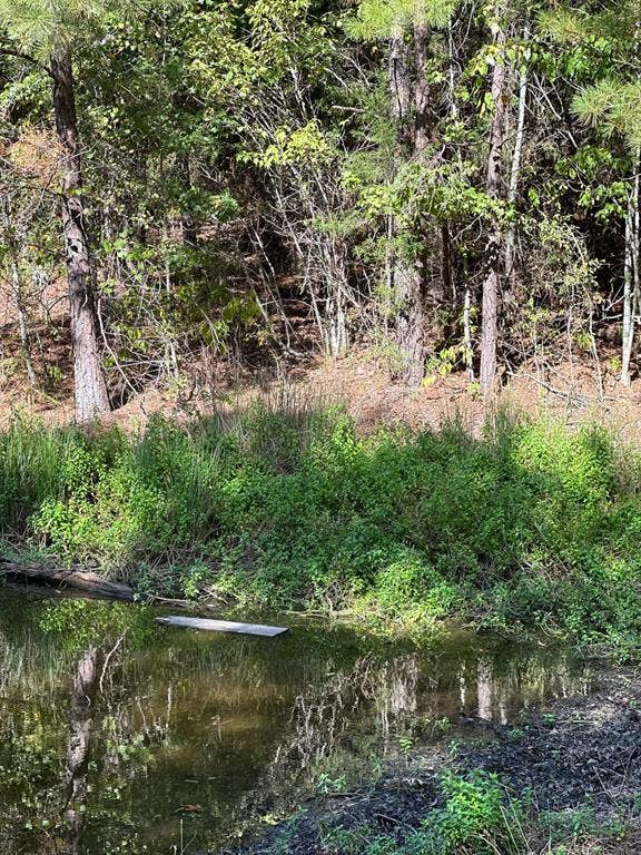 11420 County Road 420, Tyler, TX 75704 View of local wilderness featuring a water view
