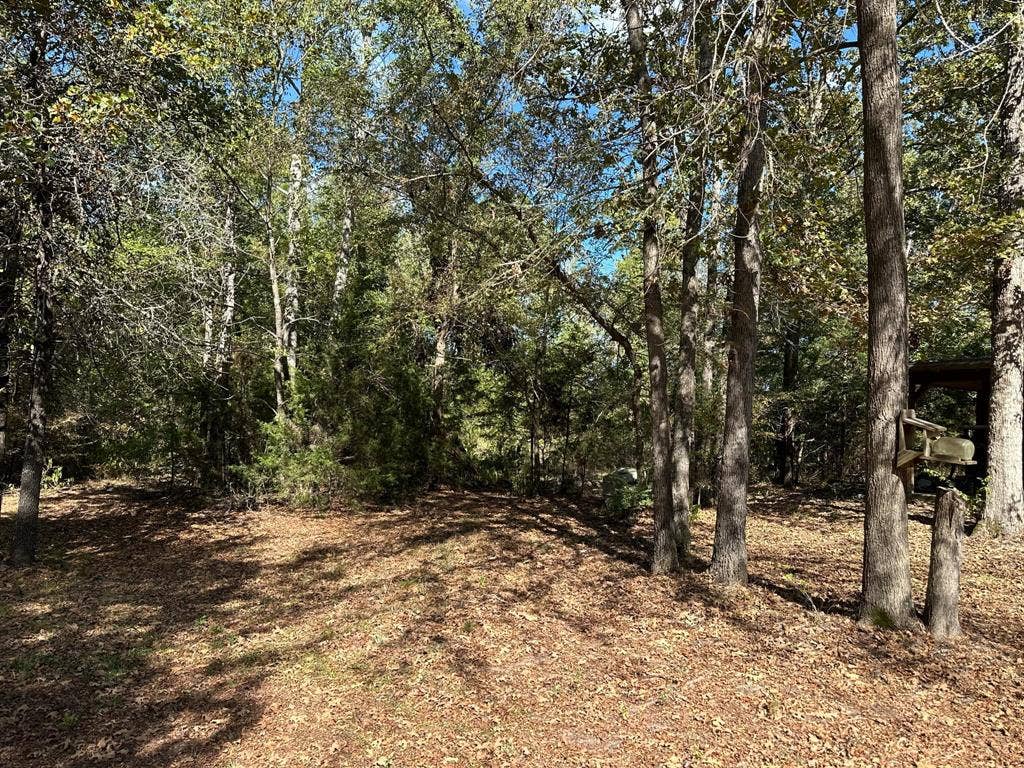 11420 County Road 420, Tyler, TX 75704 View of local wilderness