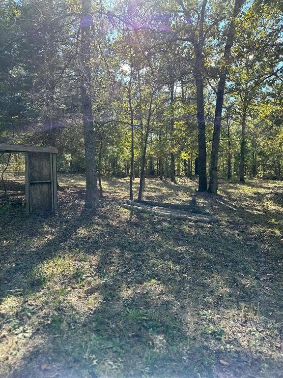 11420 County Road 420, Tyler, TX 75704 View of yard