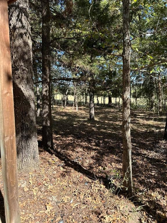 11420 County Road 420, Tyler, TX 75704 View of local wilderness