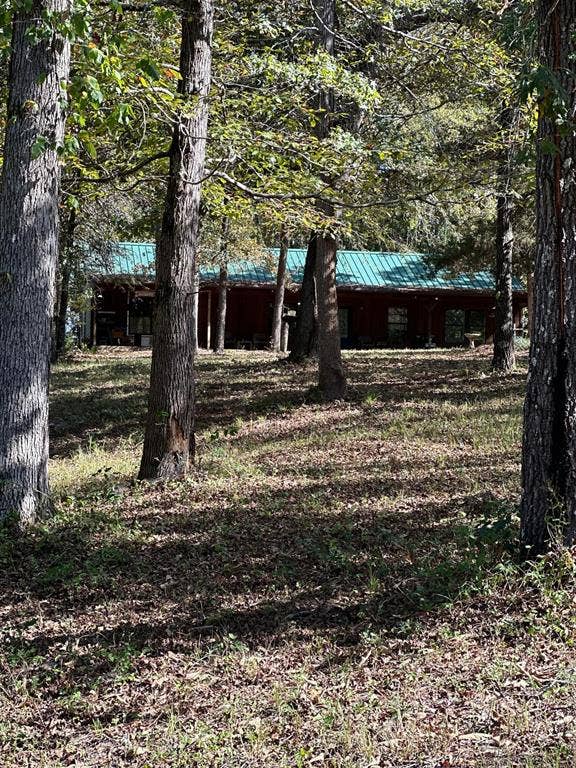 11420 County Road 420, Tyler, TX 75704 View of yard