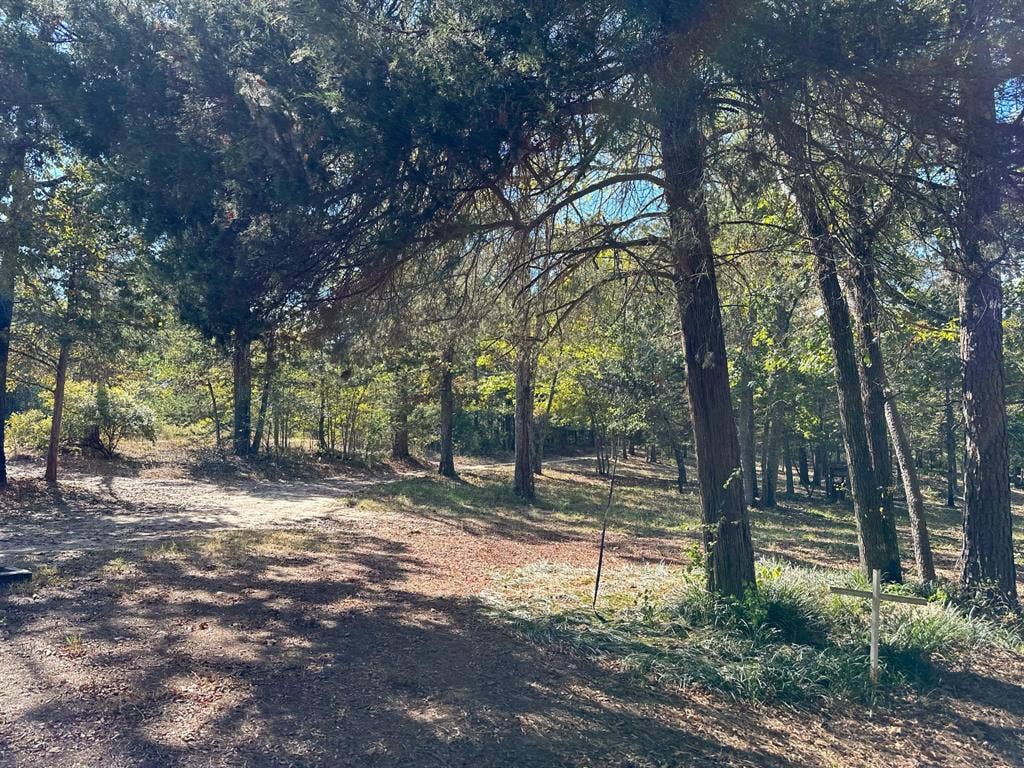 11420 County Road 420, Tyler, TX 75704 View of nature