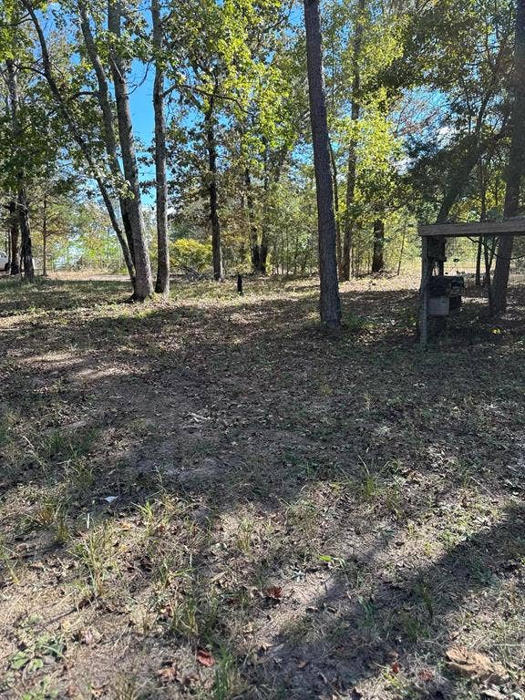 11420 County Road 420, Tyler, TX 75704 View of local wilderness