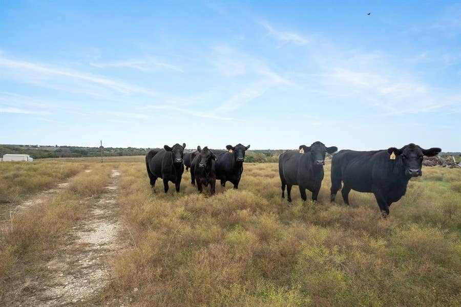 Property photo for 7307 Boswell Court, Lipan, TX
