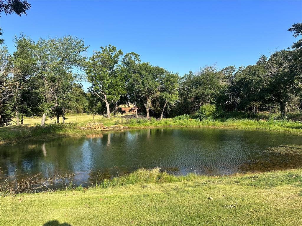 124 Park Avenue, Keller, TX 76262 Pond with surrounding mature trees and grassy areas