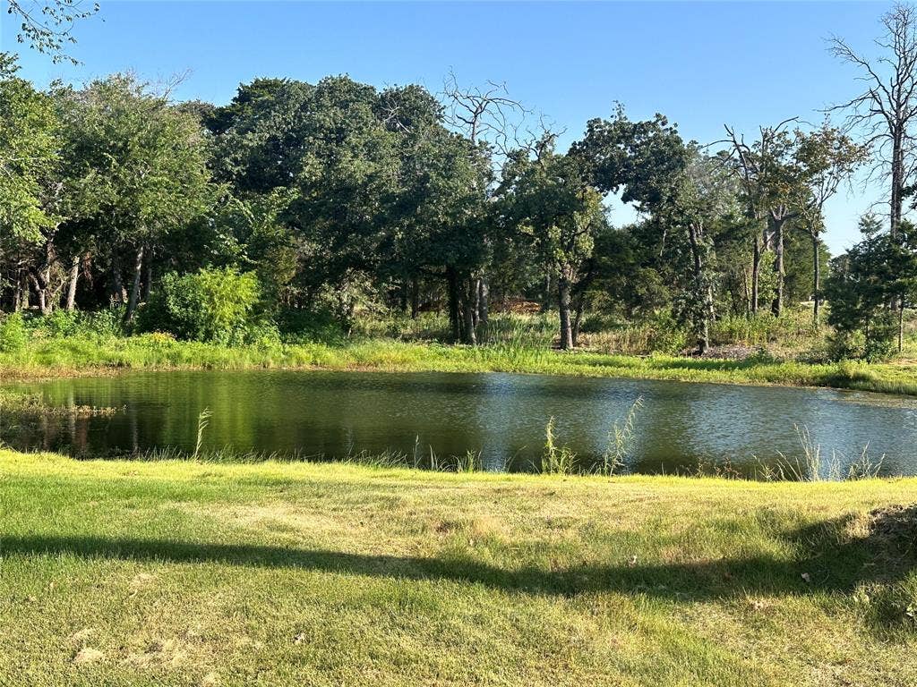 124 Park Avenue, Keller, TX 76262 Private pond with surrounding natural landscape and mature trees