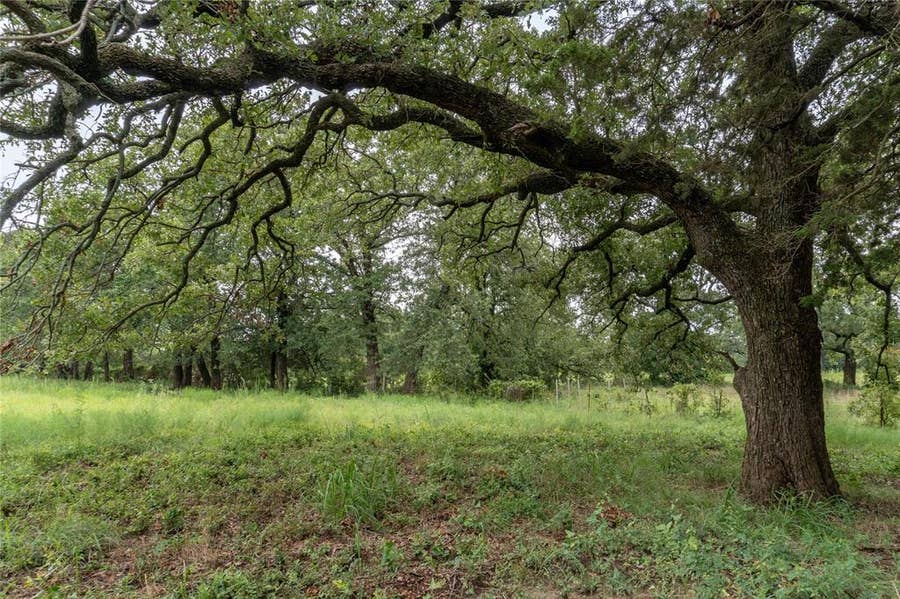 Property photo for T4 Coleman Ranch Road, Tolar, TX