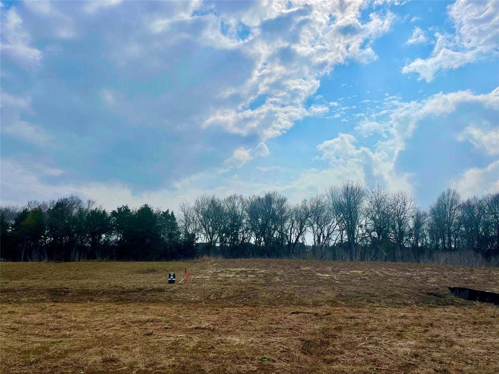 441 Mayberry Way, Waxahachie, TX 75167 View of landscape with a rural view