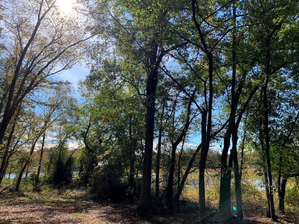 11524 Drakes Landing, Frankston, TX 75763 11524 Drakes Landing, Frankston, TX 75763