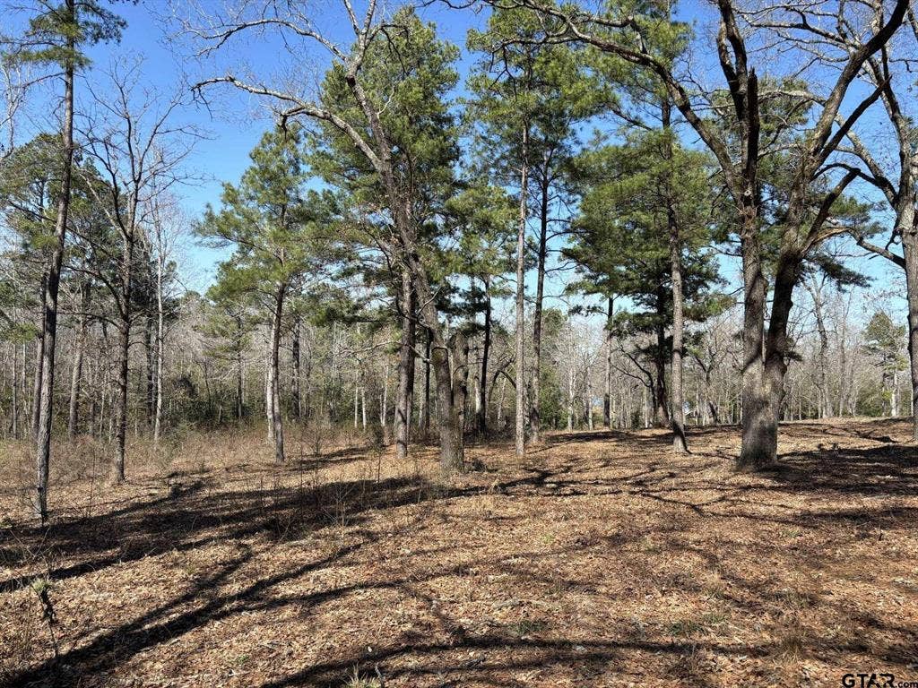 11524 Drakes Landing, Frankston, TX 75763 11524 Drakes Landing, Frankston, TX 75763