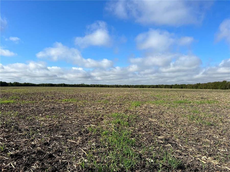 Property photo for TBD CR 117 Road, Rogers, TX