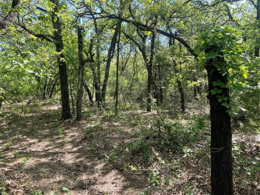 Property photo for TBD Griffin St Griffin Street, Azle, TX