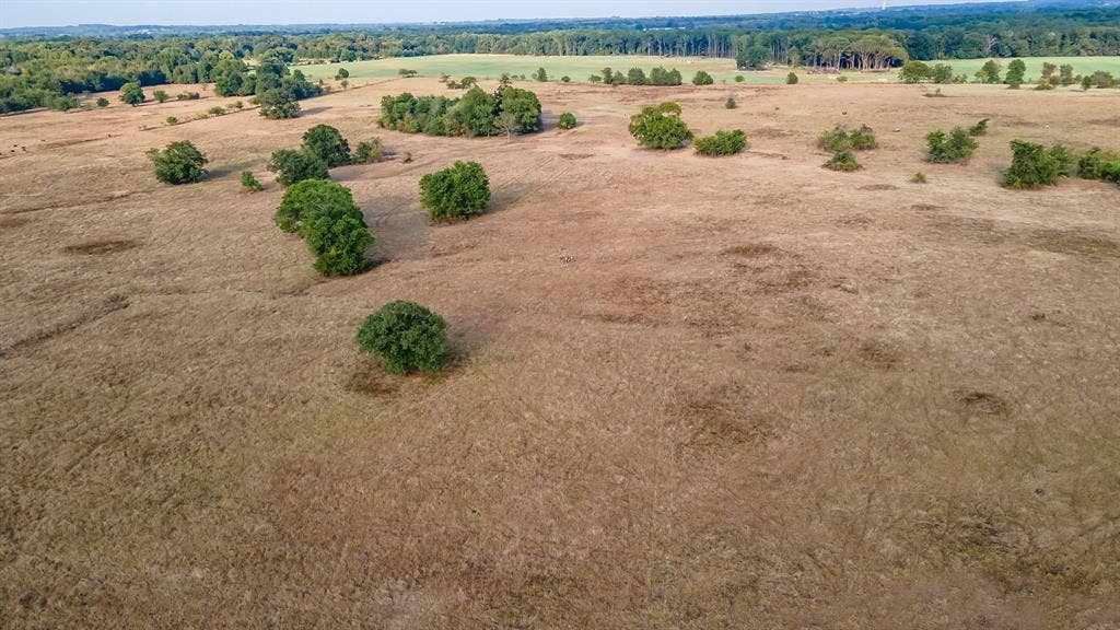 00 W FM 344, Bullard, TX 75757 00 W FM 344, Bullard, TX 75757