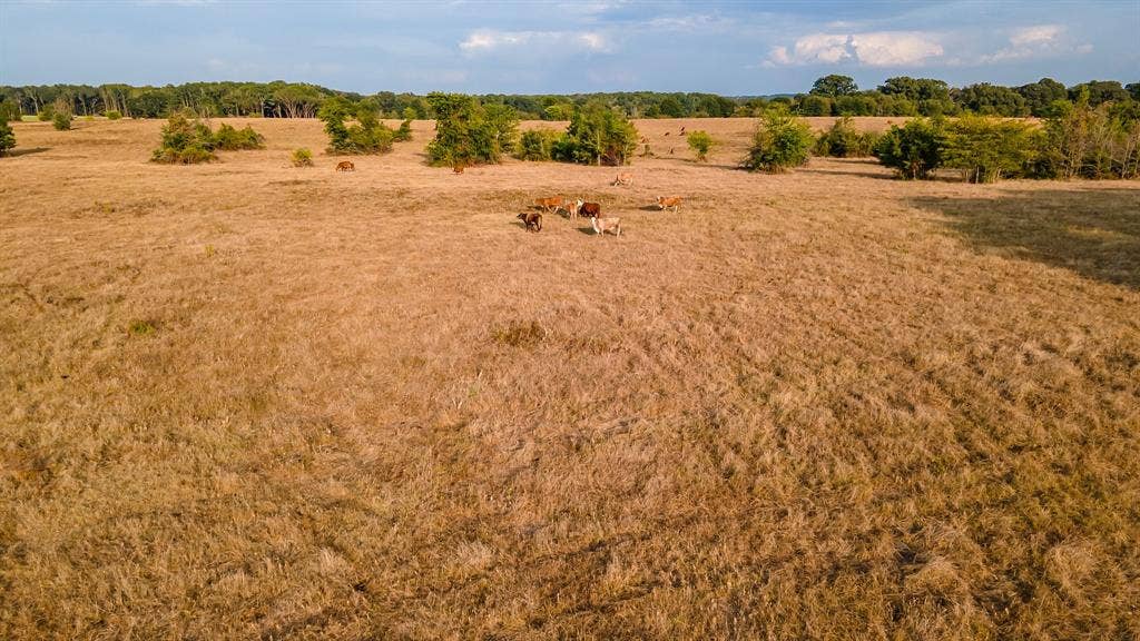 00 W FM 344, Bullard, TX 75757 00 W FM 344, Bullard, TX 75757